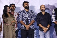 ZEBRA Movie Teaser Launch
